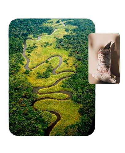 Aerial river and cacao harvest